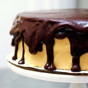 Chocolate Peanut Butter Cake