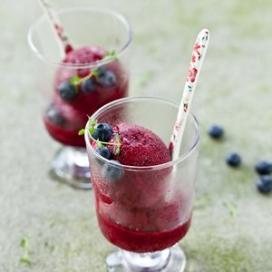 Blueberry Sorbet Macarons