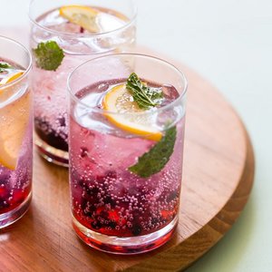 Blackberry and Meyer Lemon Gin and Tonic