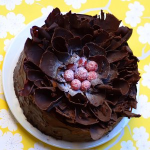 Chocolate Raspberry Cake
