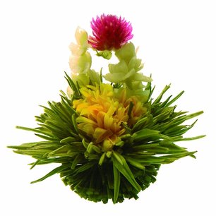 Flowering Green-Tea Sampler