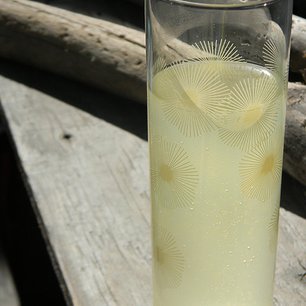 Meyer Lemon Honey Lemonade
